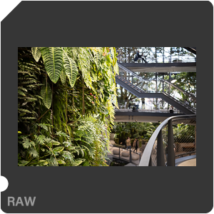RAW sample