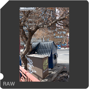RAW sample