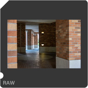RAW sample