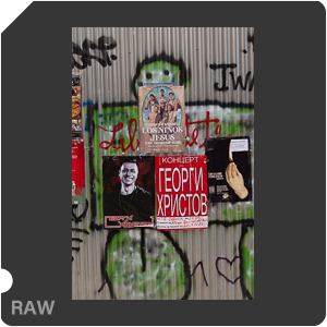 RAW sample