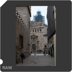 RAW sample