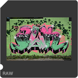 RAW sample