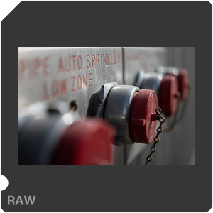 RAW sample