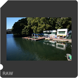 RAW sample