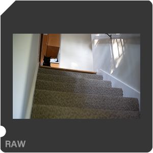 RAW sample