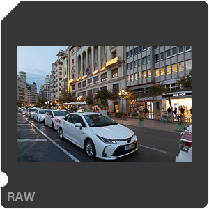 RAW sample