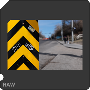 RAW sample