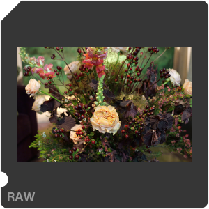 RAW sample