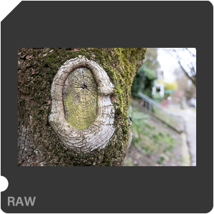 RAW sample