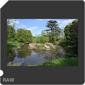 RAW sample