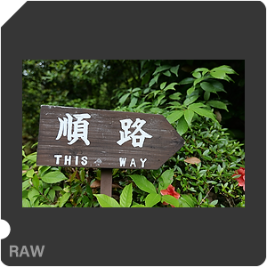 RAW sample