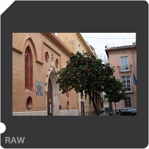 RAW sample