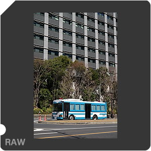 RAW sample