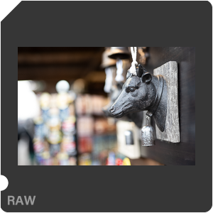 RAW sample
