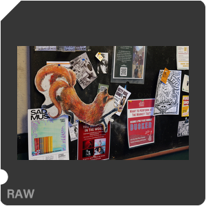 RAW sample