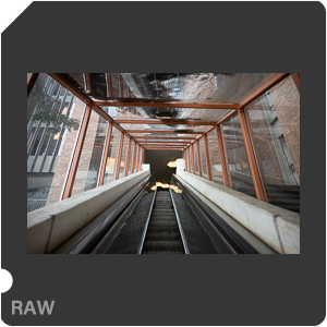 RAW sample