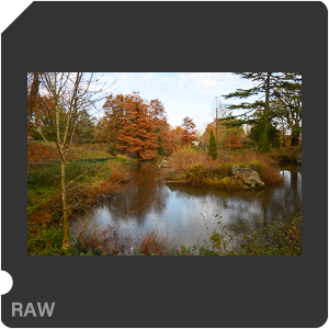 Nikon Z f + Nikkor Z 28mm f/2.8. Примеры RAW файлов