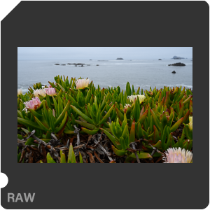 RAW sample