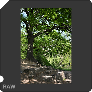 RAW sample