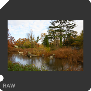 Nikon Z f + Nikkor Z 28mm f/2.8. Примеры RAW файлов