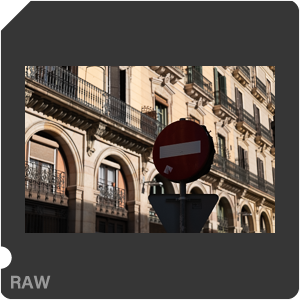 RAW sample