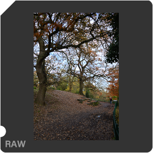 Nikon Z f + Nikkor Z 28mm f/2.8. Примеры RAW файлов