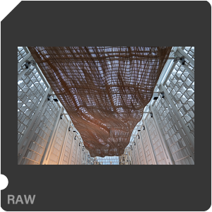 RAW sample