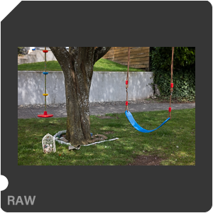 RAW sample