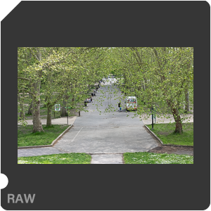RAW sample