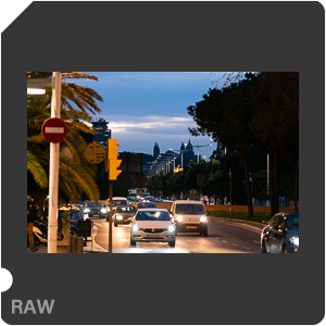 RAW sample