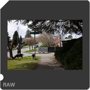 RAW sample
