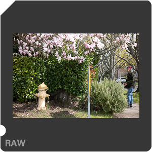 RAW sample