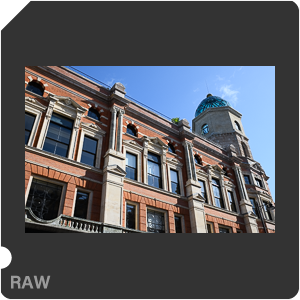 RAW samples