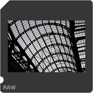 RAW sample