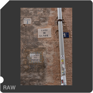 RAW sample