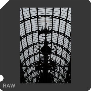 RAW sample