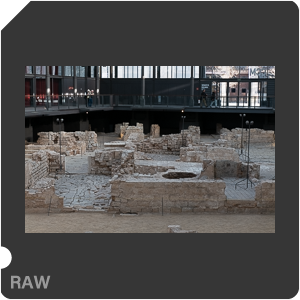 RAW sample