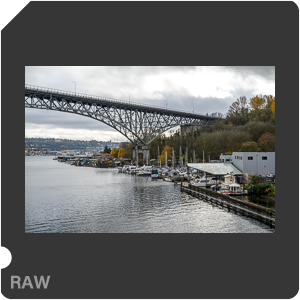 RAW sample