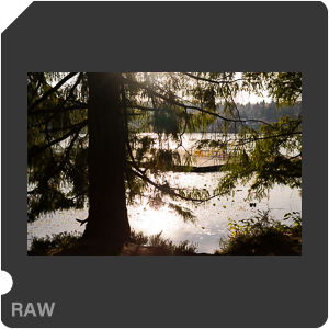 RAW sample