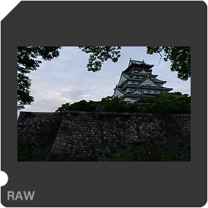 RAW sample