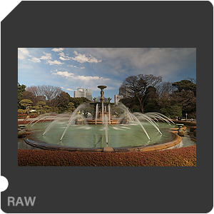 RAW sample