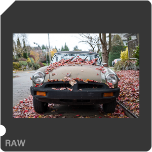 RAW sample