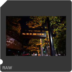RAW sample