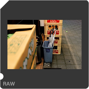 RAW sample