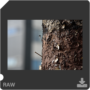 RAW sample