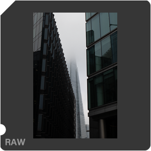 RAW sample