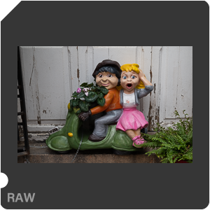 RAW sample