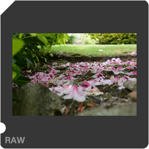 RAW sample