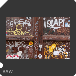 RAW sample