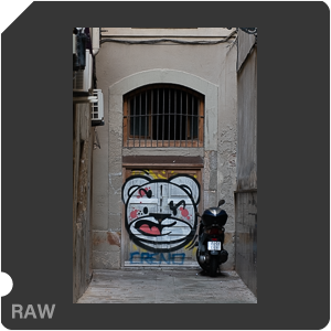 RAW sample